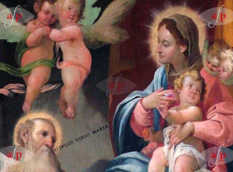 archivio-predali-amigoni-collepiano-home