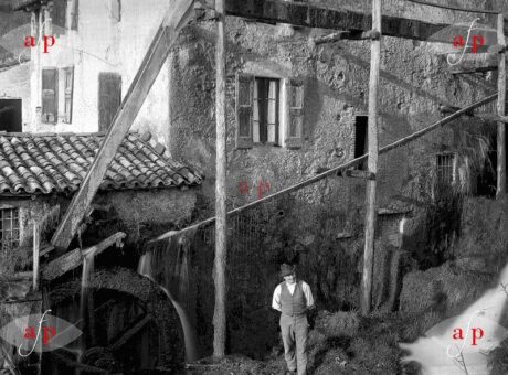 archivio-predali-industria-lana-generale-home
