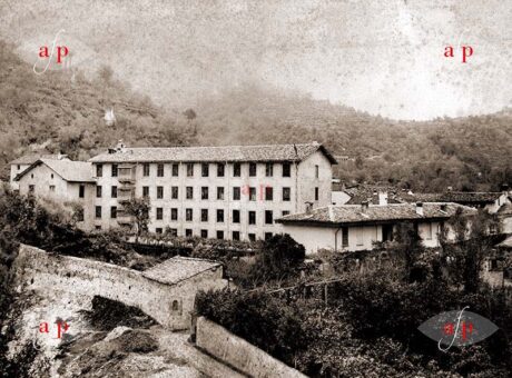 archivio-predali-vismara-home