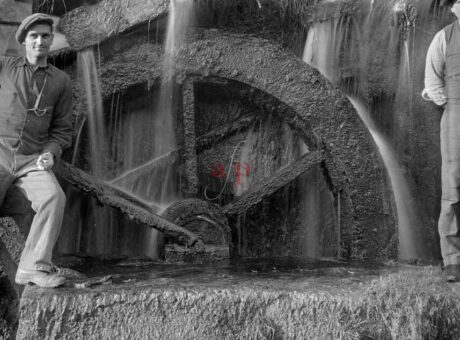 02_follo_ruota di Mulino – CRISTINI