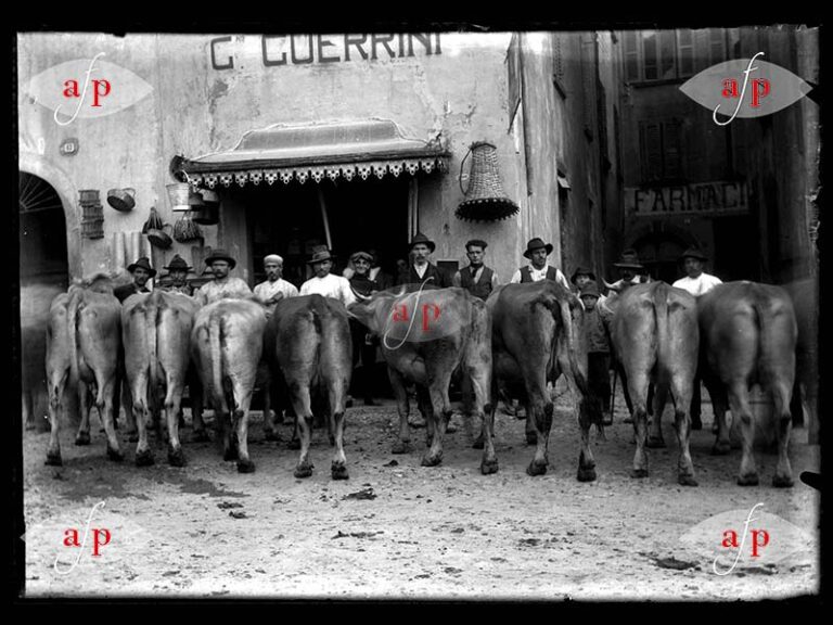 archivio-l-a-predali-00061-contadini-di-marone-con-mucche